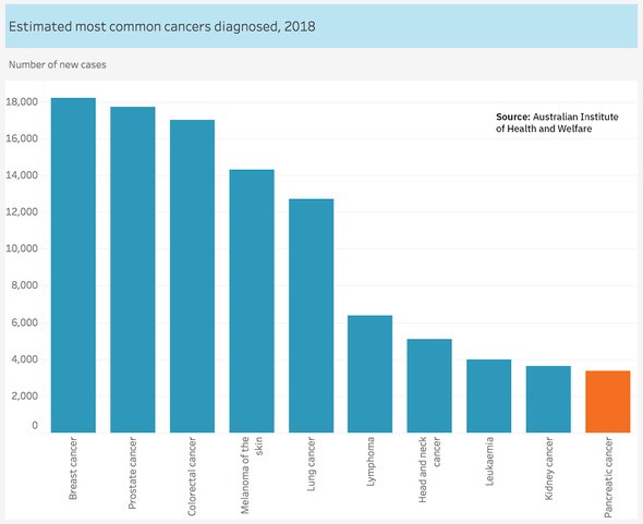 New Statistics Revealed On Cancer Survival Rates Avner Foundation