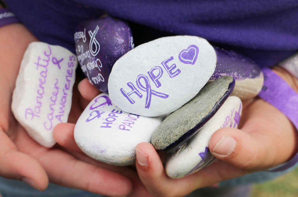 painted motivations rocks - pancreatic cancer 