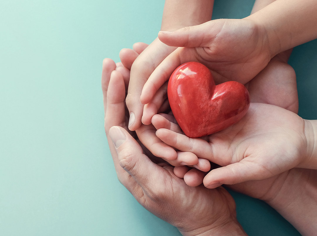 Hands holding a heart