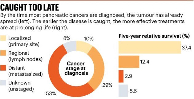 The Latest Developments in Early Detection for Pancreatic Cancer