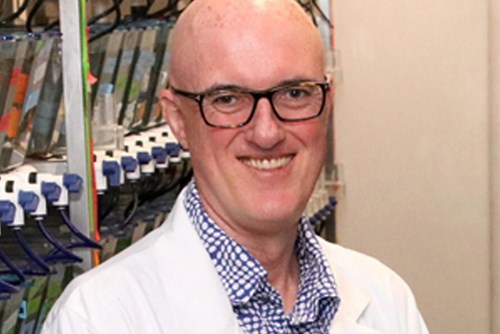 Associate Professor Shane Grey Panel Image