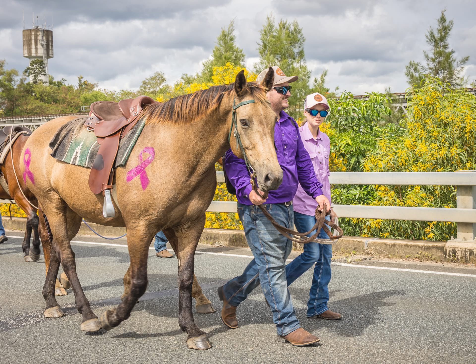 Breakaway Horse Riders 3