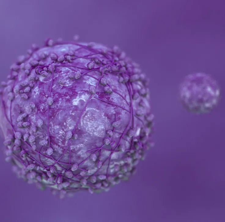 Understanding the CA19-9 Tumour Marker