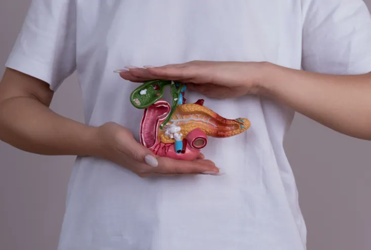Woman holding pancreas