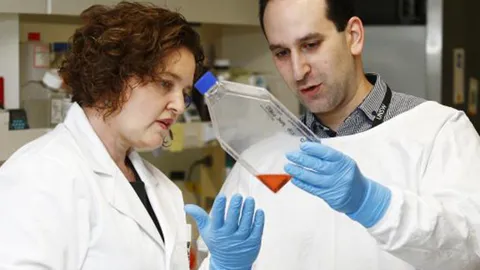 Sharbeen And Phillips Image