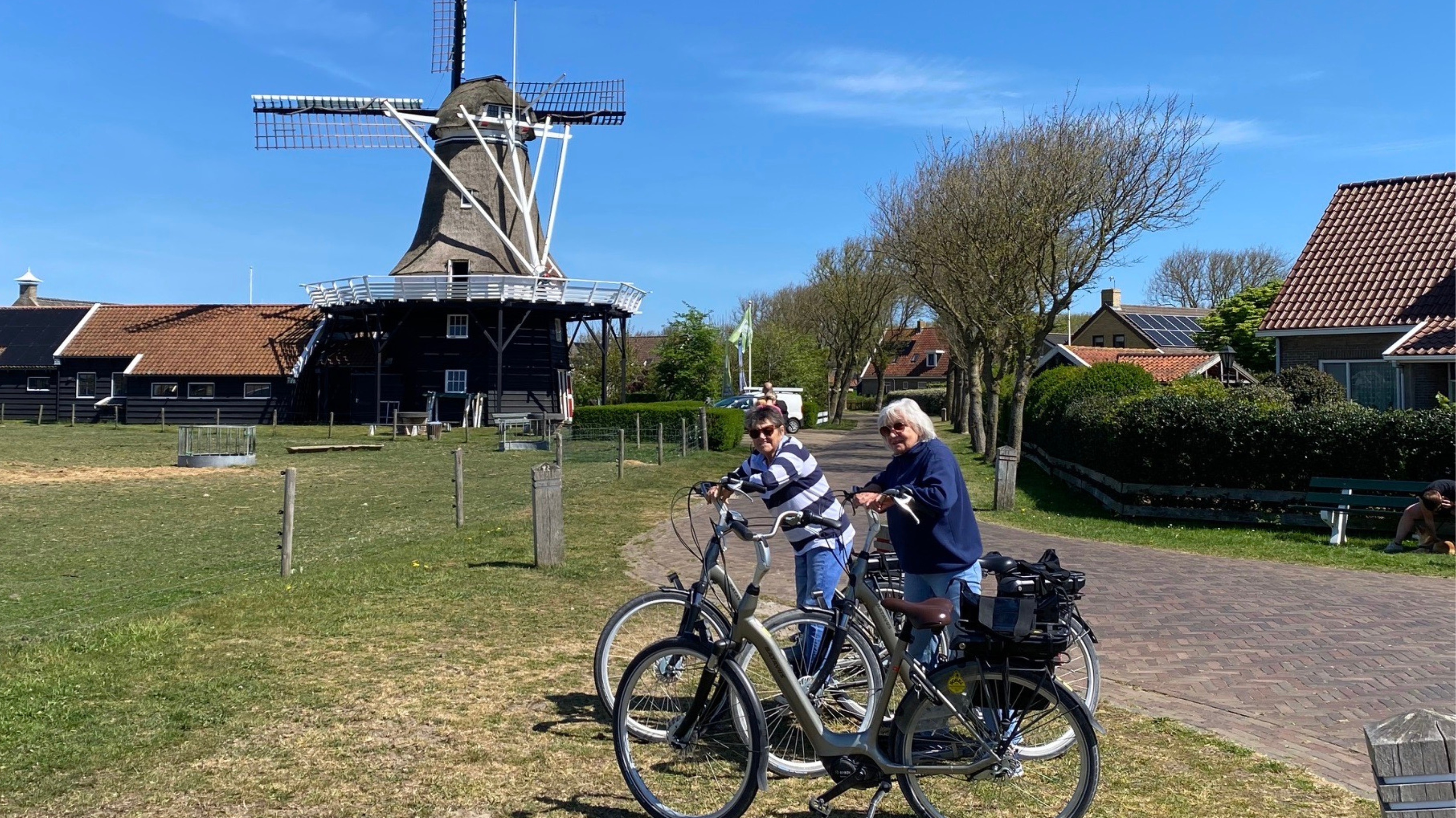 Marianne Withe A Friend In Europe